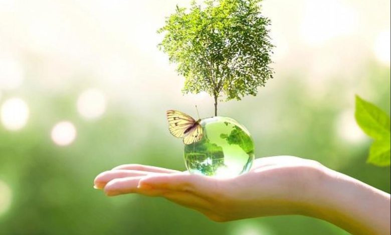 Top 6 Climate Myths You Need To Know