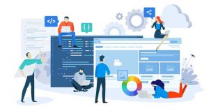 website development service