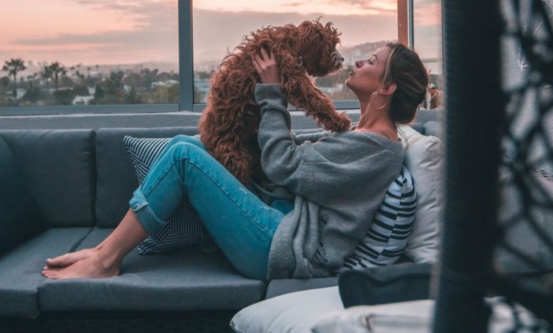 4 Tips for Playing More Sporting Events with Your Pet
