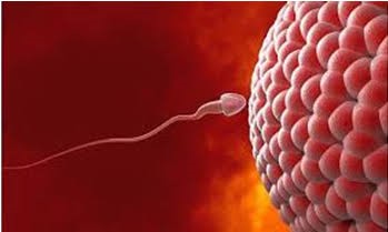 Embryology Course