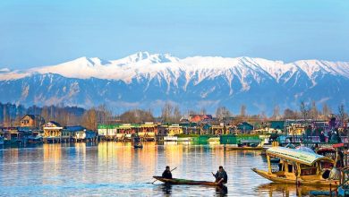 kashmir