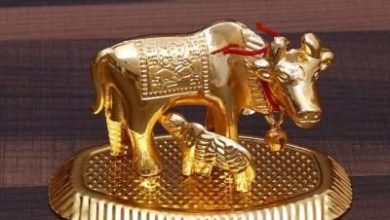 gifts from India to USA