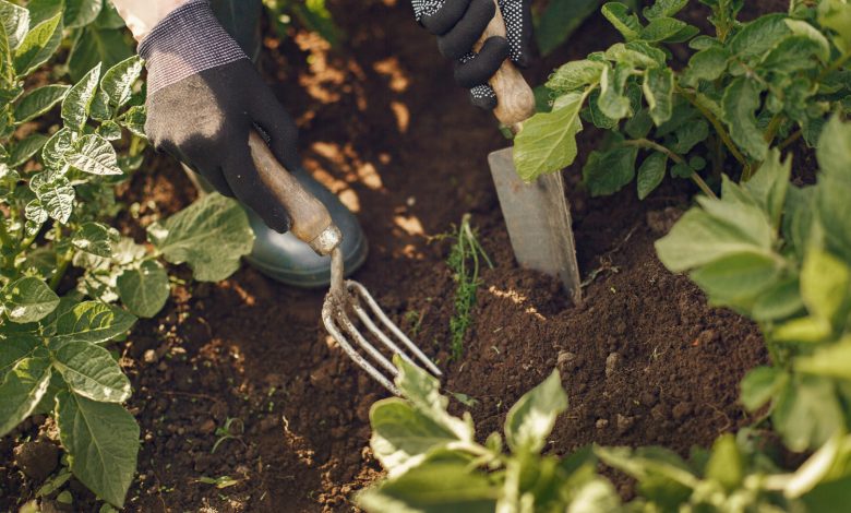 affordable landscaping Mashpee MA