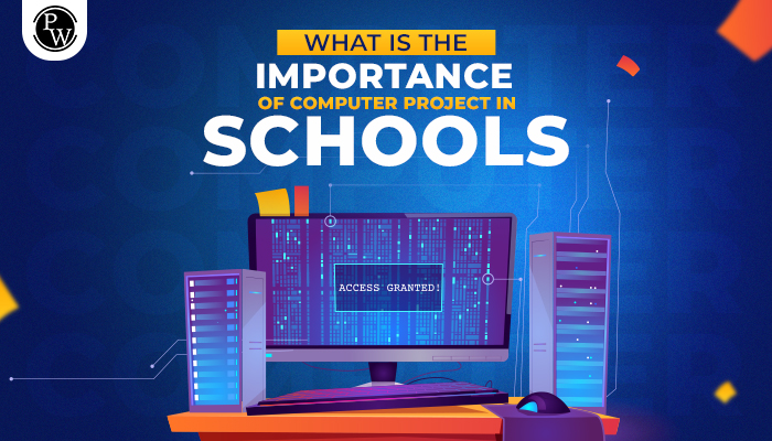 Importance of the computer in school